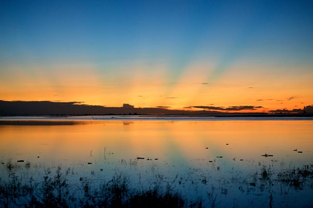 Beautiful Moremi sunset