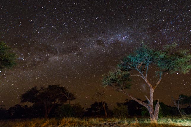 Night time star fest in Savuti