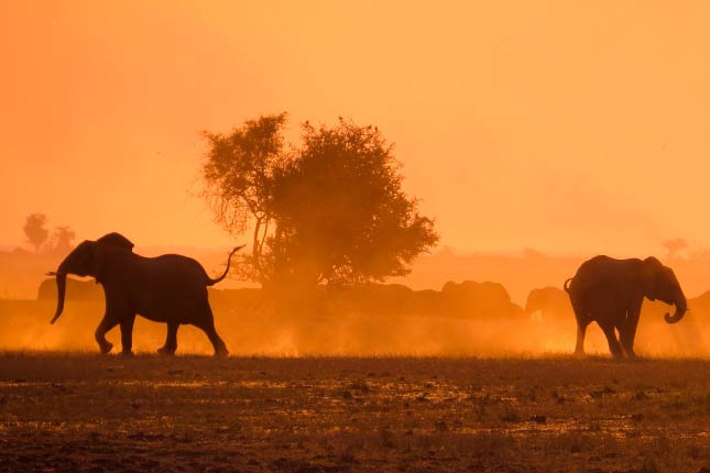 Sunsets offer great photos